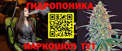 шишки Пыть-Ях
