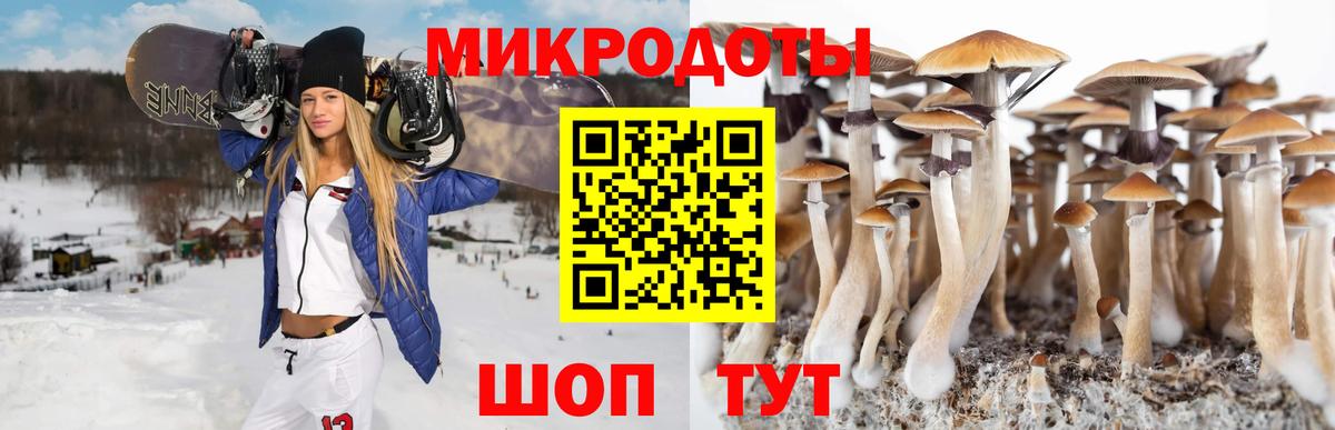 Псилоцибиновые грибы Psilocybine cubensis  Вход с VPN  Одинцово  Псилоцибиновые грибы мухоморы 